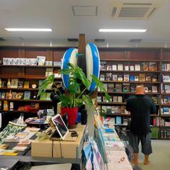 サップボード立て値下げしました2万円から1万円にします