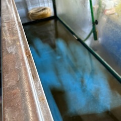 ガラス水槽　1800 600 600 水槽台付き