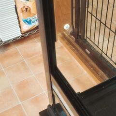 爬虫類用ケース(鍵付き)