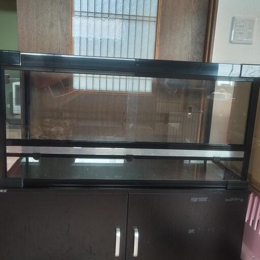 爬虫類用ケース(鍵付き)