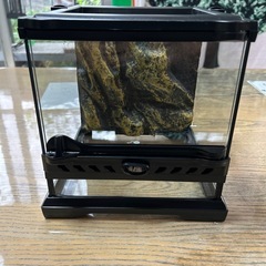 埼玉県のグラステラリウムの中古が安い！激安で譲ります・無料で  