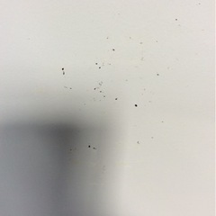 AQUA 7.0kg  全自動洗濯機  AQW-GP7E5  2017年製