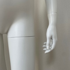 ウィメンズマネキン2   トルソー