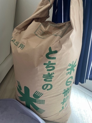 令和5年コシヒカリ\n