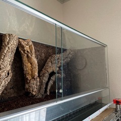 水槽　ゲージ　両生類　爬虫類　テラリウム　大型