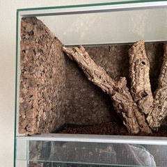 水槽　ゲージ　両生類　爬虫類　テラリウム　大型