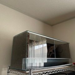 水槽　ゲージ　両生類　爬虫類　テラリウム　大型