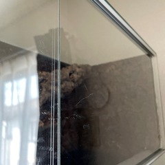 水槽　ゲージ　両生類　爬虫類　テラリウム　大型