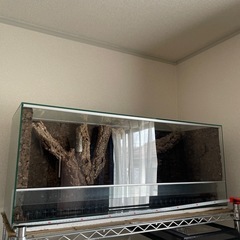 水槽　ゲージ　両生類　爬虫類　テラリウム　大型