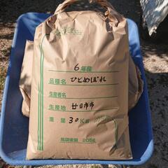 【令和６年産】ひとめぼれ玄米３０Ｋg