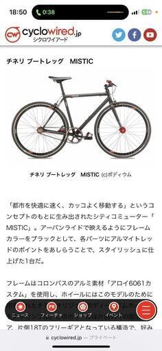 チネリ　ブートレック　MISTIC