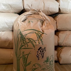 魚沼産コシヒカリ新米