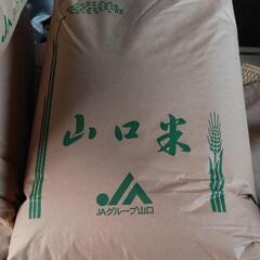 【新米】令和6年　ひとめぼれ　玄米　30キロ