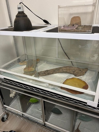 決まりました