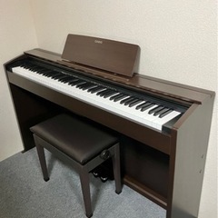 長野県産あんず（ジャム等の加工向け杏）約10kg 常温配送 5-14 - 果物 