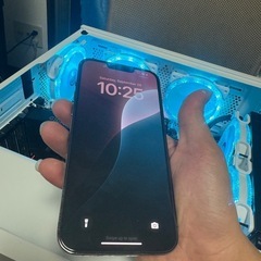 iphone 13 pro max 256gb  89999¥