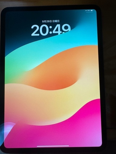 iPad Pro M4 11インチ 256GB Wi-Fi ブラック