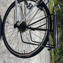 ジャイアント　Mサイズ　