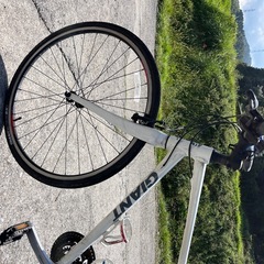 ジャイアント　Mサイズ　