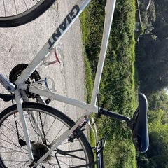 ジャイアント　Mサイズ　