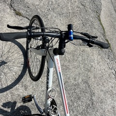 ジャイアント　Mサイズ　