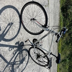 ジャイアント　Mサイズ　