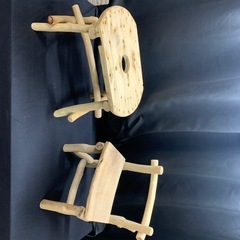 入手困難ガンダムエース 2006年 6月号 付録完備 レイコ ホリンジャー