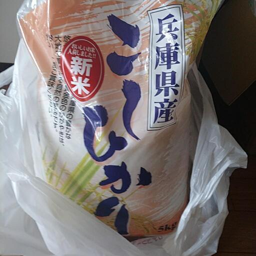 新米コシヒカリ