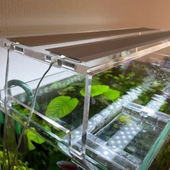 美品 水草照明 ADA AQUASKY G 602 アクアスカイ602