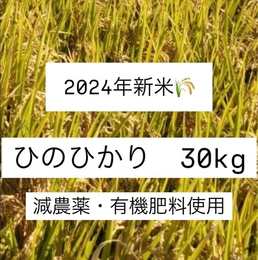 有機肥料使用 減農薬 ヒノヒカリ 2024年新米 30kg