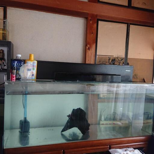 (受け渡し決まりました。)  ② 1200×450×450水槽セット