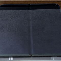 Google pixel 9 pro ford