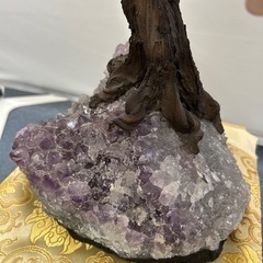 金のなる木　ローズクォーツ　土台アメジスト
