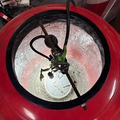  特大 提灯型 電飾看板 高さ約100cm×直径約60 提灯 飲食店  居酒屋 看板