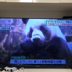 【SOLDOUT】DMM.make 55型4Ｋ液晶モニター