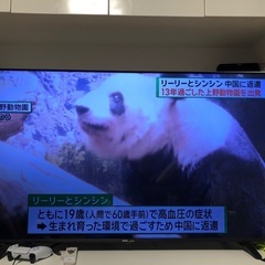 【SOLDOUT】DMM.make 55型4Ｋ液晶モニター