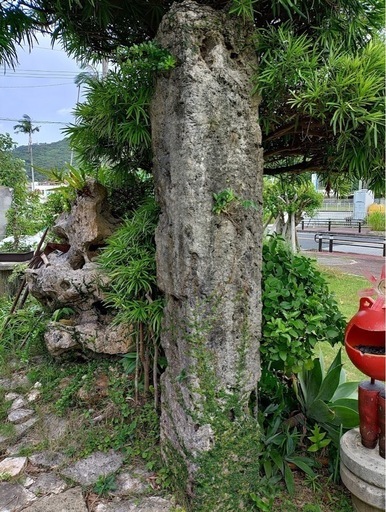 琉球石灰岩　値段交渉可能