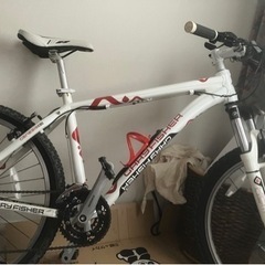 10/28まで！【ゲイリーフィッシャー】 マウンテンバイク ピラーニャ ピラニア