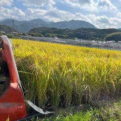 令和6年度　棚田米　八代市東陽町産　ヒノヒカリ　30kg 