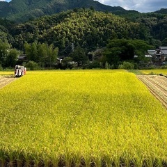 令和6年度　棚田米　八代市東陽町産　ヒノヒカリ　30kg 