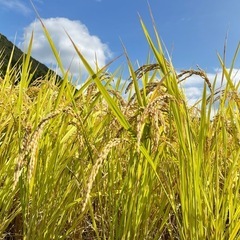 令和6年度 棚田米 八代市東陽町産 ヒノヒカリ 30kg