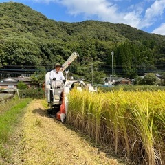 令和6年度　棚田米　八代市東陽町産　ヒノヒカリ　30kg 