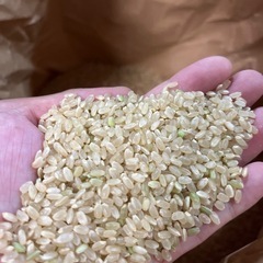 令和6年度　棚田米　八代市東陽町産　ヒノヒカリ　30kg 