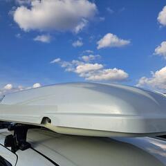 新品未使用45Rインドメリノカシミヤヘンリボンストール 新品未使用45Rインドメリノカシミヤヘンリボンストール