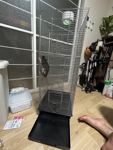 小動物ゲージ