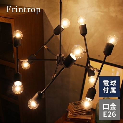 インターフォルム ペンダントライト フリントロップ 10灯 天井照明 可動型 ブラック LED電球付き interform Frintrop LT-3051