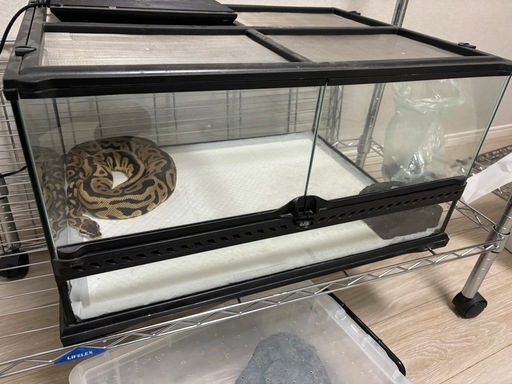 決まりました