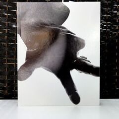 初版 ぴあ 櫻井敦司 写真集 SACRIFICE BUCK-TICK バクチク 希少