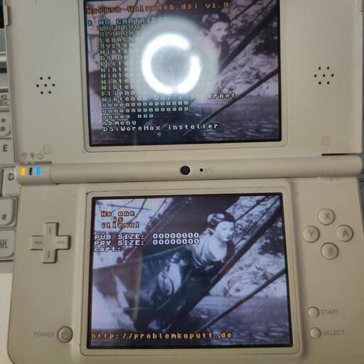 トレーディングカード DSi  LL