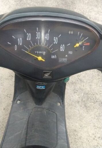 HONDA ライブDiO スタイリッシュなデザインに映えるエナメルシート